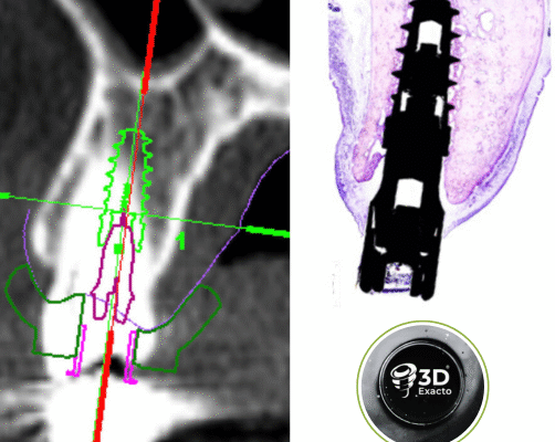 Sin título (502 x 450 px) Sin título (502 x 450 px)